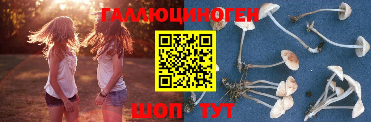 Бузулук  Галлюциногенные грибы прущие грибы  Вход с VPN 